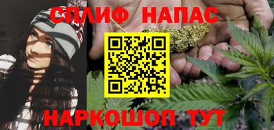 spice Кинель