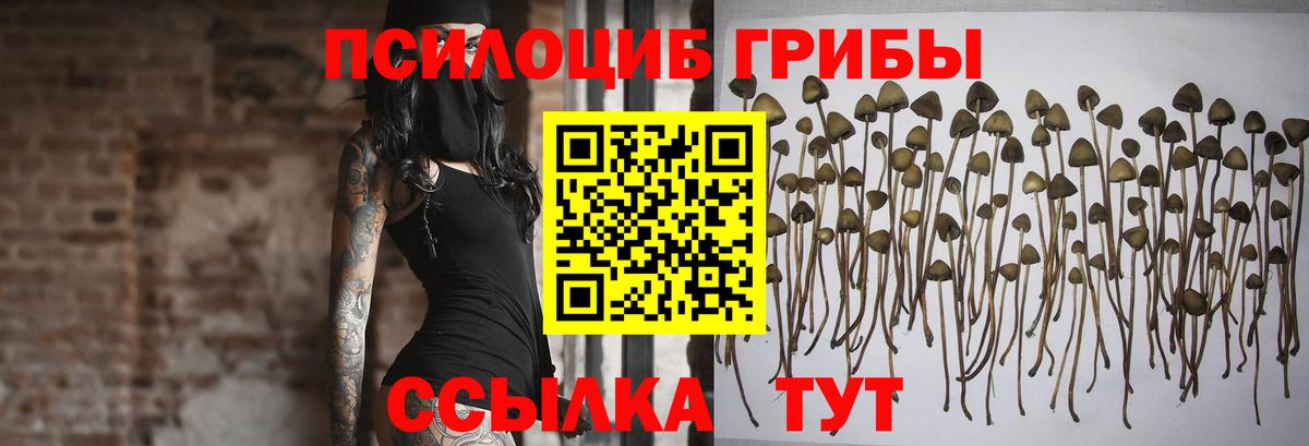 Псилоцибиновые грибы Magic Shrooms  Вход с VPN  Бутурлиновка 